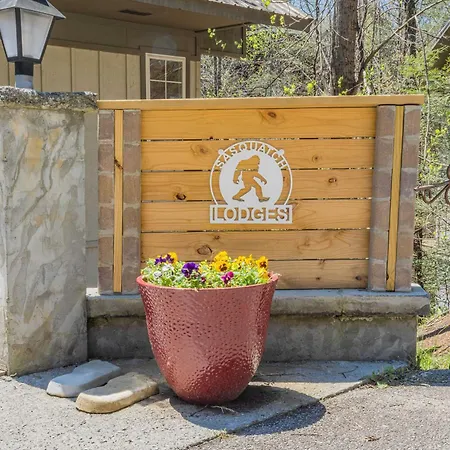 Sasquatch Lodges Family Fgh Sleeps 36